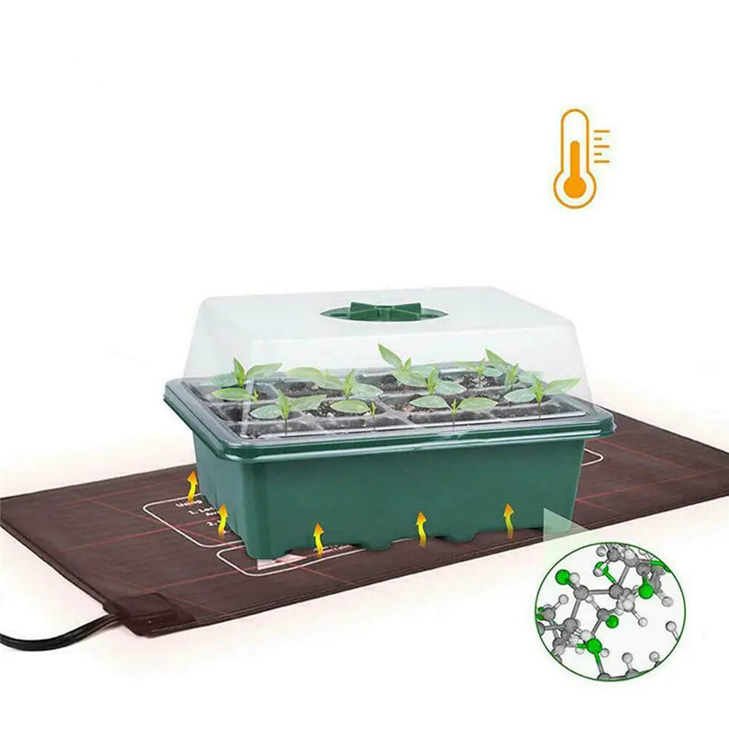 Insulated Seedling Tray with Nutrient Cup for Succulents